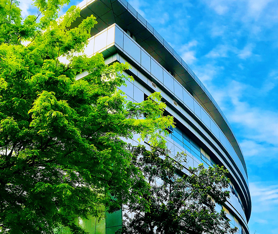 ��������MR(�й�)��ҳ������¼