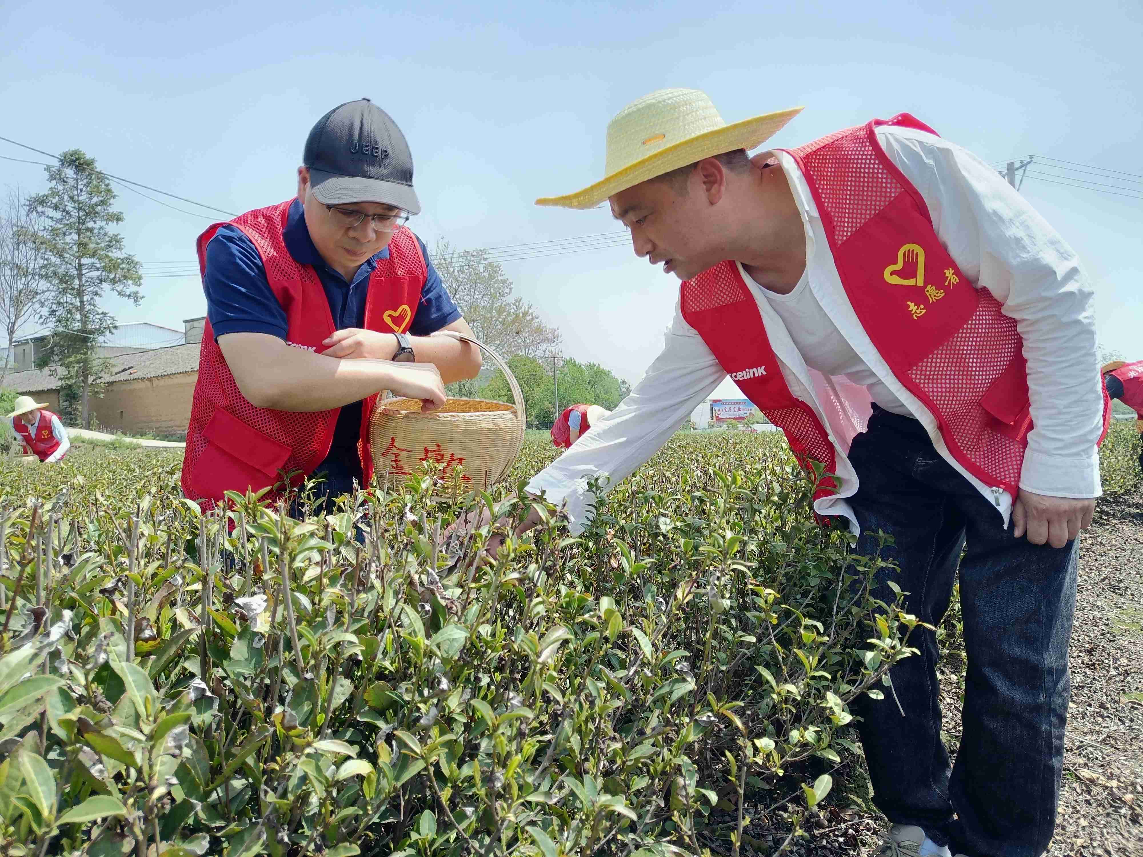 ��������MR(�й�)��ҳ������¼